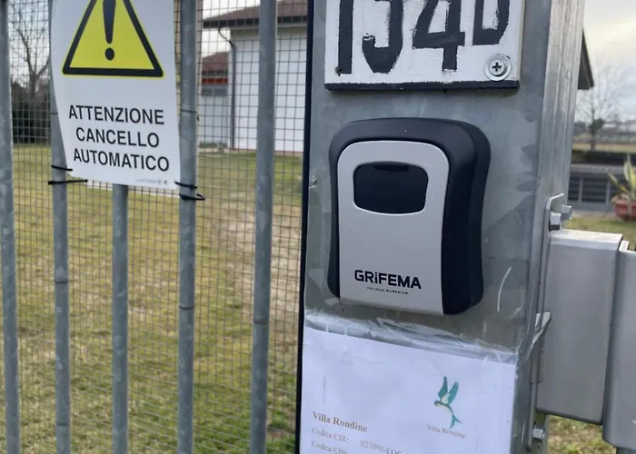 Rondine Willa Corno Alto