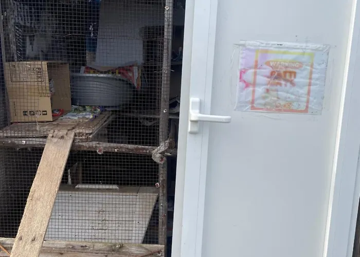 Rondine Willa Corno Alto